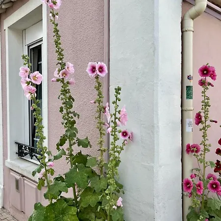 بيت للعطل La Maison Josephine Familiale Parking لي سابلِ دولونْ
